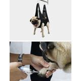 グルーミングハンモック ペット用 猫用 | PlusNao | 詳細画像4 