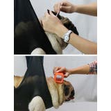 グルーミングハンモック ペット用 猫用 | PlusNao | 詳細画像5 