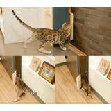 ペットドア 猫ドア キャットドア | PlusNao | 詳細画像2 