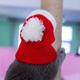 ペット用帽子 ペット用コスプレグッズ 猫 | PlusNao | 詳細画像4 