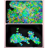 夜光石 50個セット 発光石 | PlusNao | 詳細画像7