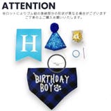 ペット用 コスプレ コスチューム | PlusNao | 詳細画像9