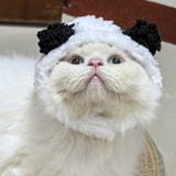 ペット用コスプレ帽子 耳付き 犬 | PlusNao | 詳細画像2