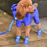 犬用レインブーツ 4個セット 犬用レインシューズ | PlusNao | 詳細画像4 