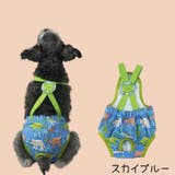 ペット用サニタリーパンツ ペット用生理パンツ マナーパンツ | PlusNao | 詳細画像12