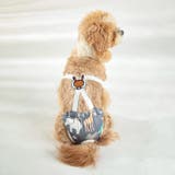 ペット用サニタリーパンツ ペット用生理パンツ マナーパンツ | PlusNao | 詳細画像4