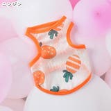 ペット用タンクトップ 犬用タンクトップ イヌ | PlusNao | 詳細画像13 