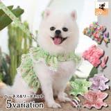 リード ハーネス 2点セット | PlusNao | 詳細画像1 