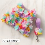 リード ハーネス 2点セット | PlusNao | 詳細画像18 