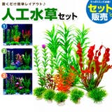バイオーブ　人工水草と装飾品セット 人工水草セット 人工プランツ ペット用品[品番：FQ000166709]｜PlusNao