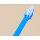 ペット用 歯ブラシ 犬 | PlusNao | 詳細画像5