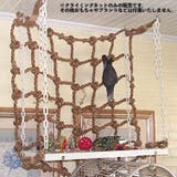 クライミングネット 鳥用 オウム | PlusNao | 詳細画像3