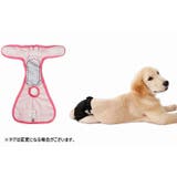 犬用サニタリーパンツ マナーパンツ 生理用パンツ | PlusNao | 詳細画像10 