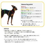 犬用サニタリーパンツ マナーパンツ 生理用パンツ | PlusNao | 詳細画像18 