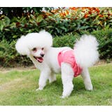 犬用サニタリーパンツ マナーパンツ 生理用パンツ | PlusNao | 詳細画像3 