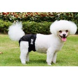 犬用サニタリーパンツ マナーパンツ 生理用パンツ | PlusNao | 詳細画像4 