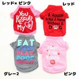 ペット用カットソー Tシャツ ペットウェア | PlusNao | 詳細画像17 