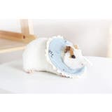 エリザベスカラー 小動物用エリカラ ハムスター | PlusNao | 詳細画像5 