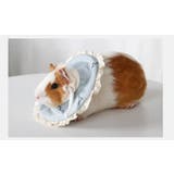 エリザベスカラー 小動物用エリカラ ハムスター | PlusNao | 詳細画像6 