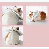 エリザベスカラー 小動物用エリカラ ハムスター | PlusNao | 詳細画像9 
