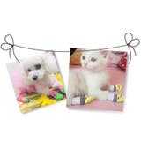 犬用靴下 ドッグソックス 4枚セット | PlusNao | 詳細画像3 