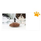 ペット用食器 フードボウル 猫用 | PlusNao | 詳細画像12