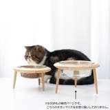 ペット用食器 フードボウル 猫用 | PlusNao | 詳細画像5
