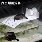 爬虫類 浮島 水槽用 | PlusNao | 詳細画像1