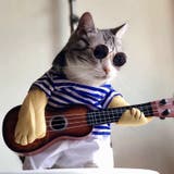 ペット用サングラス 丸メガネ 猫用 | PlusNao | 詳細画像2