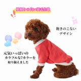 ドッグウェア トレーナー 裏毛 | PlusNao | 詳細画像3