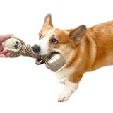 犬用おもちゃ ペット おもちゃ | PlusNao | 詳細画像6 