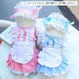 ドックウェア ペットウェア キャットウェア | PlusNao | 詳細画像4 