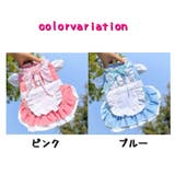 ドックウェア ペットウェア キャットウェア | PlusNao | 詳細画像7 