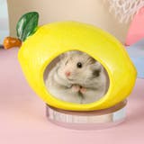 小動物用ハウス ハムスターハウス ペット用品 | PlusNao | 詳細画像2