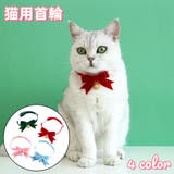 猫用首輪 カラー ネコ用 | PlusNao | 詳細画像1