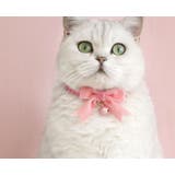 猫用首輪 カラー ネコ用 | PlusNao | 詳細画像3