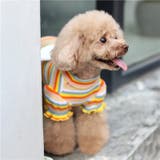 ペットウェア カットソー 犬服 | PlusNao | 詳細画像10