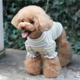 ペットウェア カットソー 犬服 | PlusNao | 詳細画像4