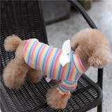 ペットウェア カットソー 犬服 | PlusNao | 詳細画像7
