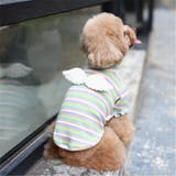 ペットウェア カットソー 犬服 | PlusNao | 詳細画像9
