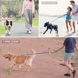 リード 犬用 小型犬 | PlusNao | 詳細画像3 