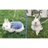 ペットウェア 小動物用ハーネスリードセット うさぎ | PlusNao | 詳細画像10