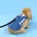 ペットウェア 小動物用ハーネスリードセット うさぎ | PlusNao | 詳細画像2