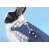 ペットウェア 小動物用ハーネスリードセット うさぎ | PlusNao | 詳細画像5