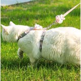 ハーネスリード 胴輪 マスコット付き | PlusNao | 詳細画像2 