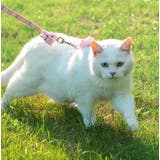 ハーネスリード 胴輪 マスコット付き | PlusNao | 詳細画像3 