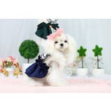 パーカー ボアパーカー ペットウェア | PlusNao | 詳細画像5 