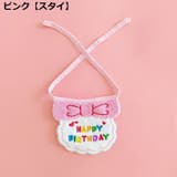 ペット用 バースデー 誕生日 | PlusNao | 詳細画像6 