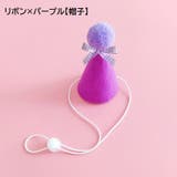 ペット用 バースデー 誕生日 | PlusNao | 詳細画像11 