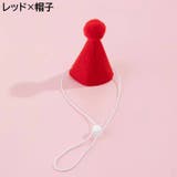 ペット用 バースデー 誕生日 | PlusNao | 詳細画像6 
